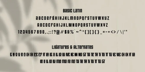 condensed display font