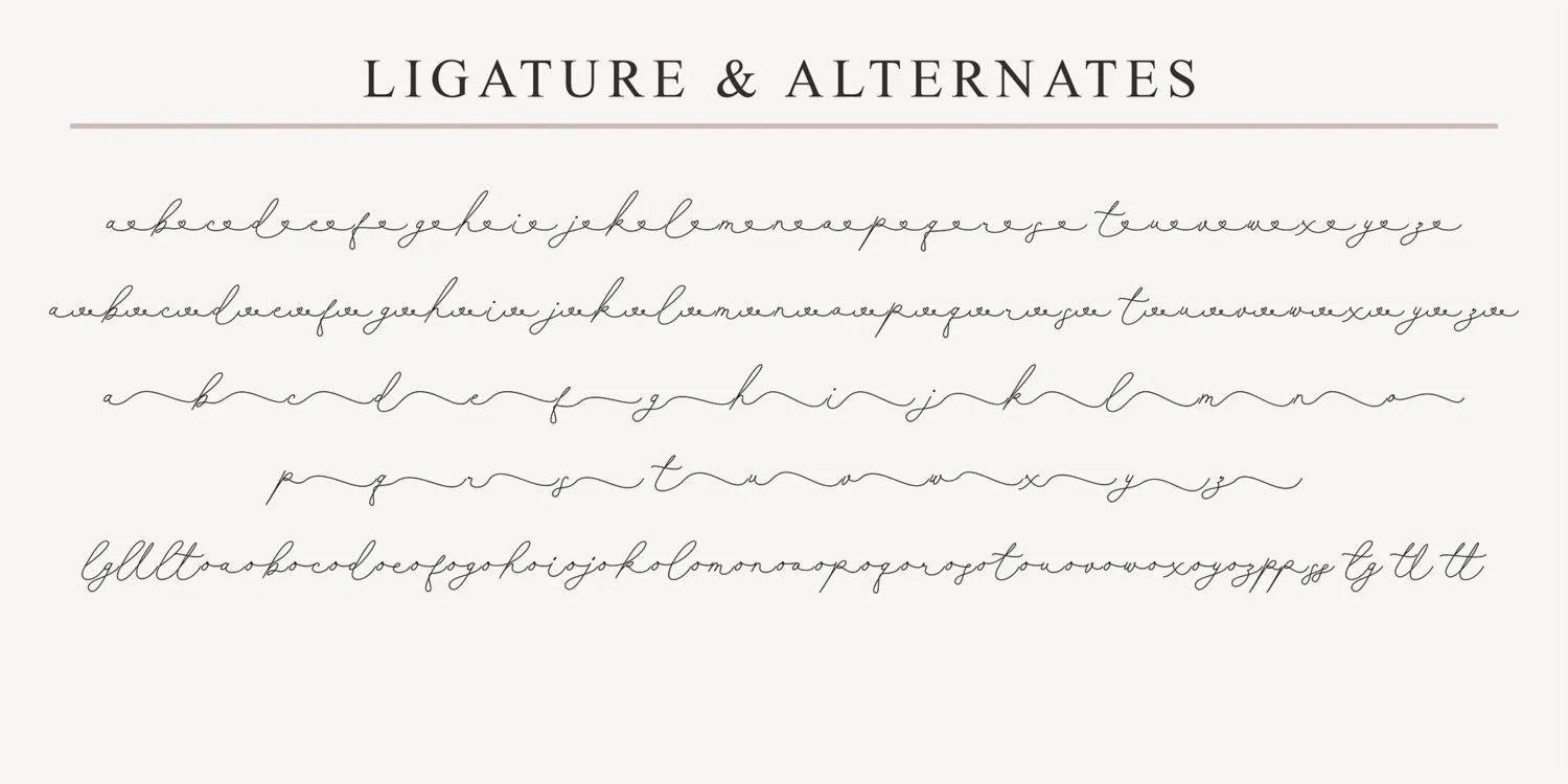 script monoline font