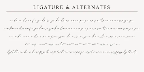 script monoline font