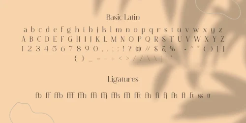 Serif Font