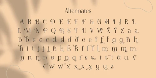 Serif Font