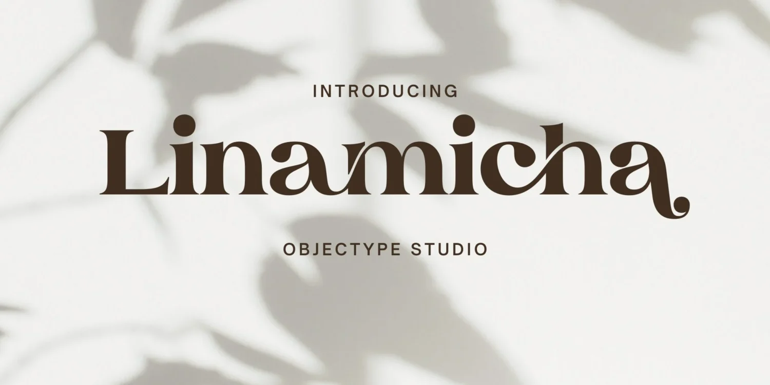 serif display font