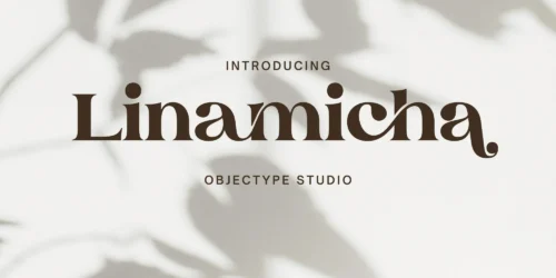 serif display font