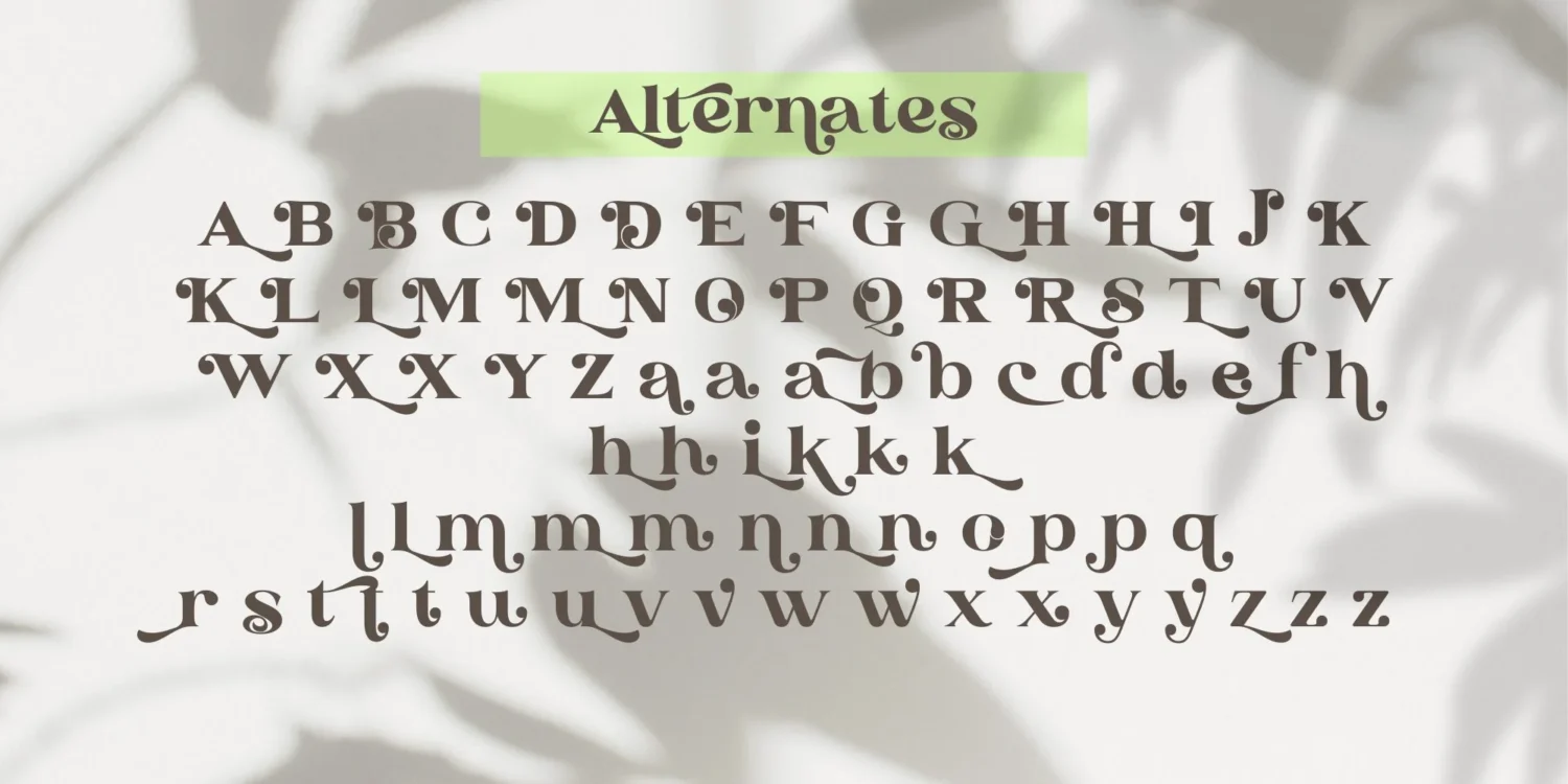 serif display font