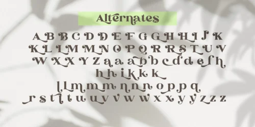 serif display font
