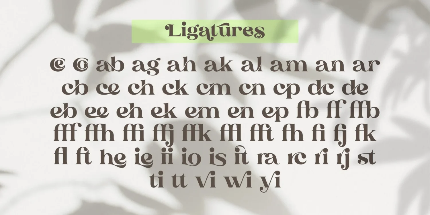 serif display font