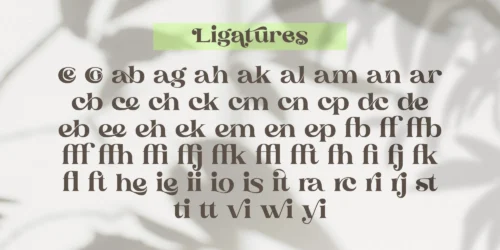 serif display font