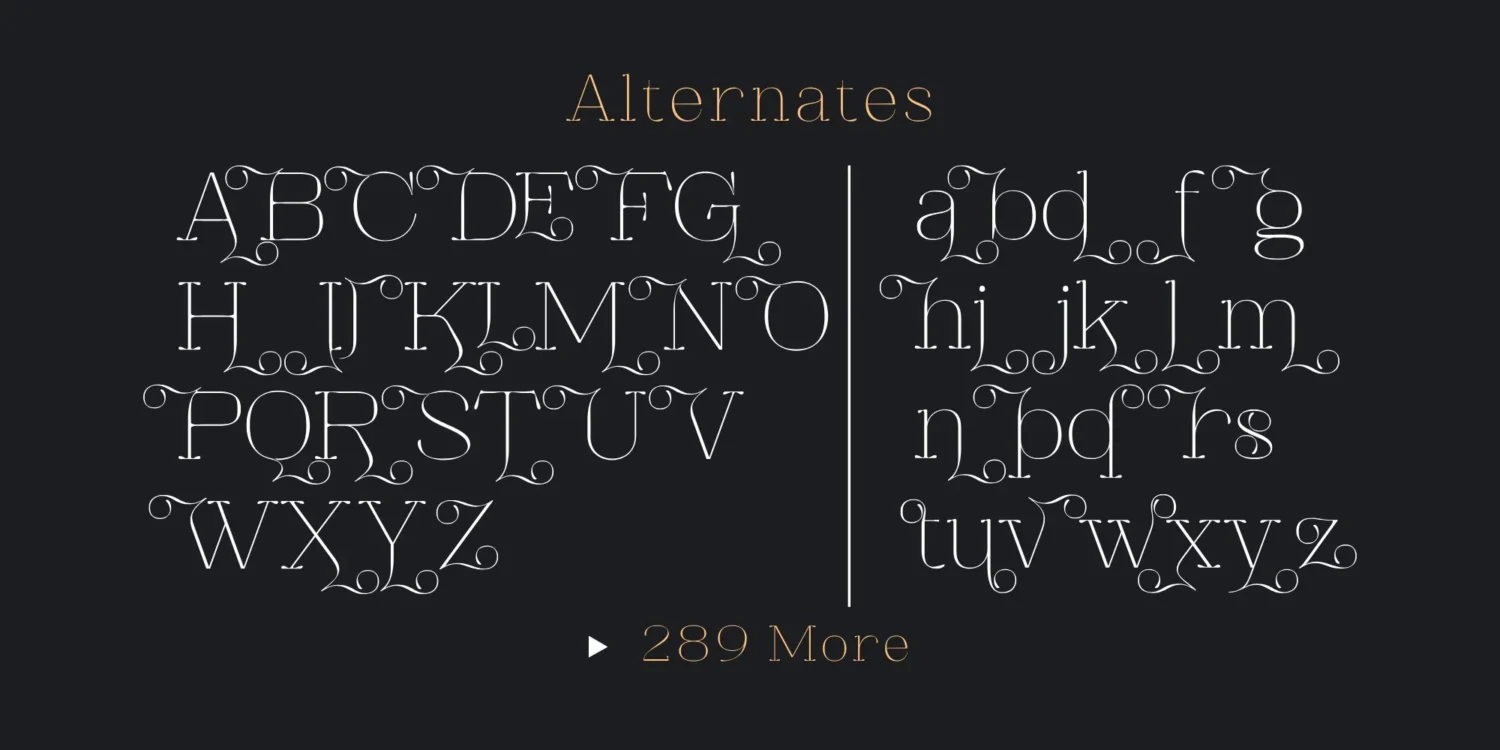serif font