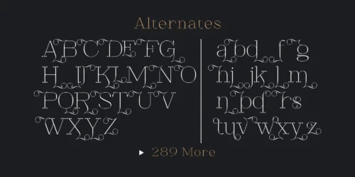 serif font