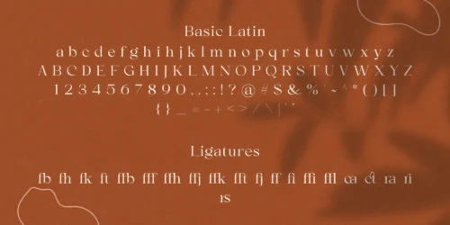 serif font