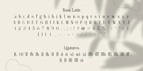 serif font