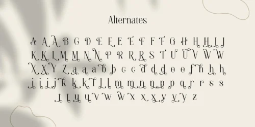 serif font